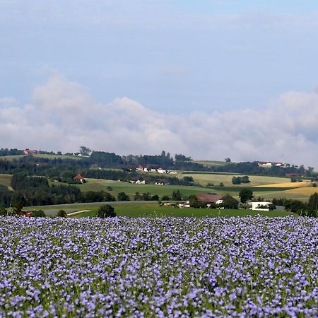 Ferienhof Neundlinger Niederwaldkirchen 外观 照片