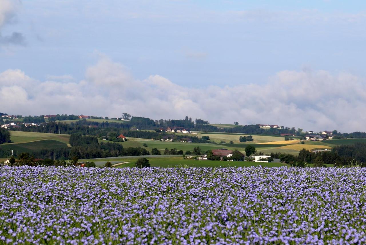 Ferienhof Neundlinger Niederwaldkirchen 外观 照片